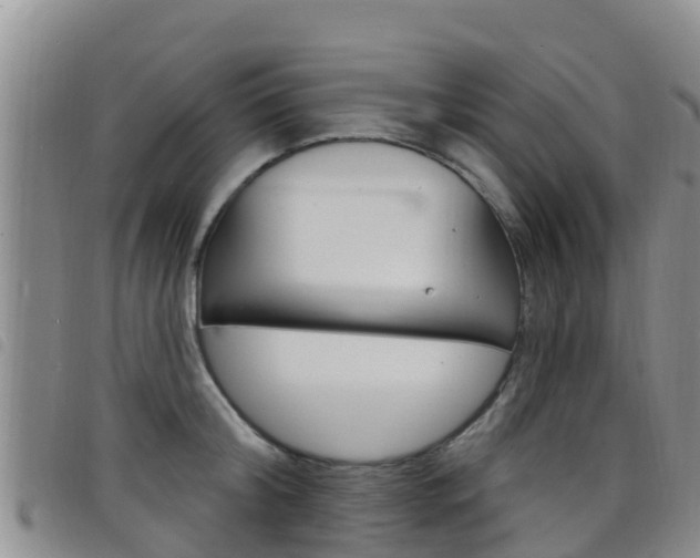 X0000098210804200804241100