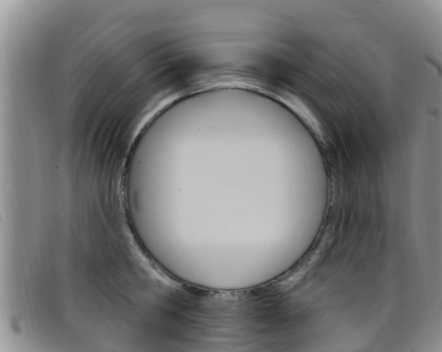 X0000098210806200804241100