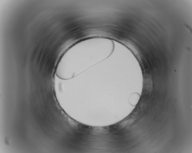 X0000098210807200804241100