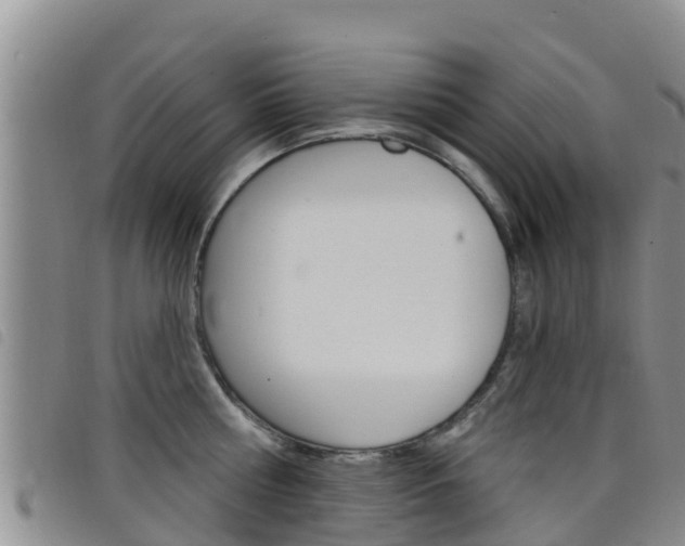 X0000098210810200804241100