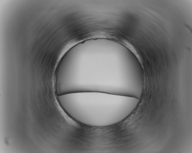X0000098210811200804241100