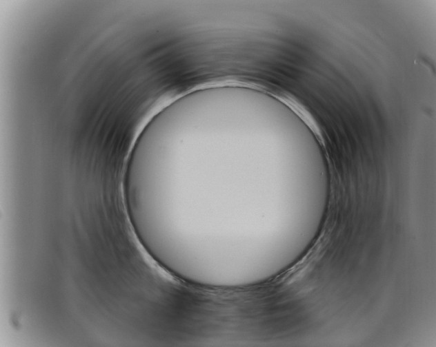 X0000098210813200804241100