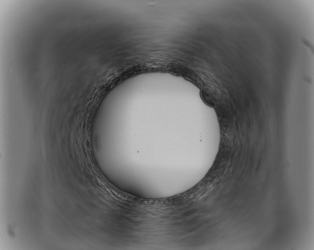 X0000098210817200804241059