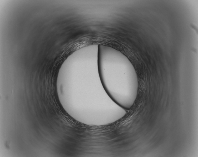 X0000098210818200804241059