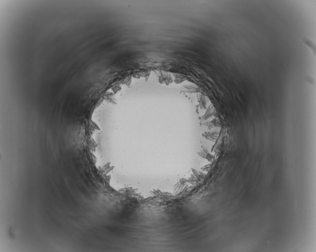 X0000098210820200804241059