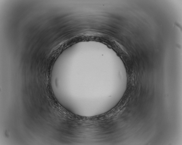 X0000098210821200804241059