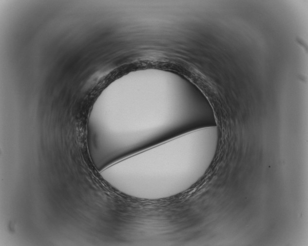 X0000098210822200804241059
