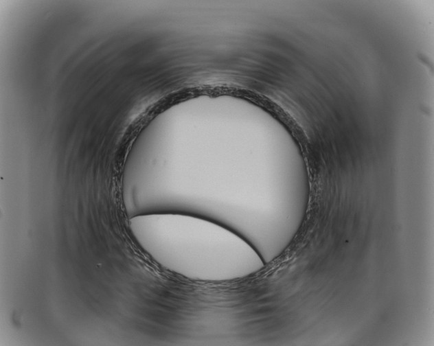 X0000098210823200804241059