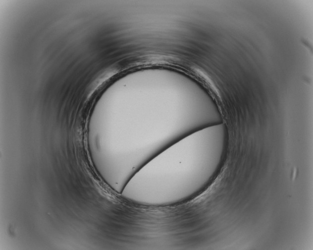 X0000098210827200804241100