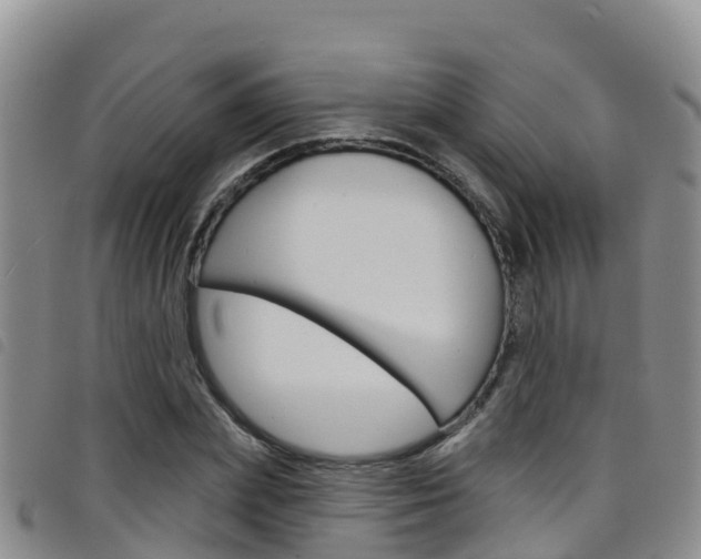 X0000098210831200804241100