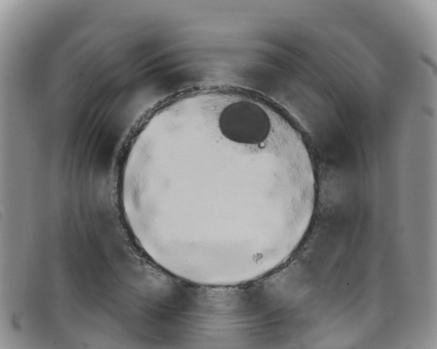 X0000098210832200804241100