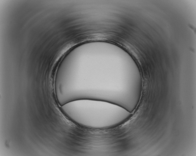 X0000098210835200804241100