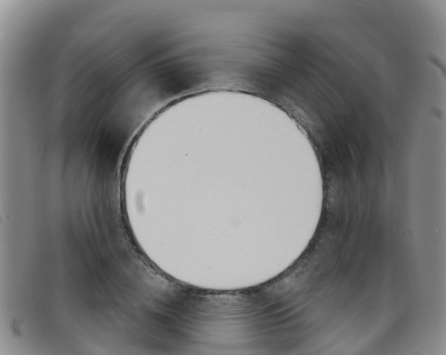 X0000098210836200804241100