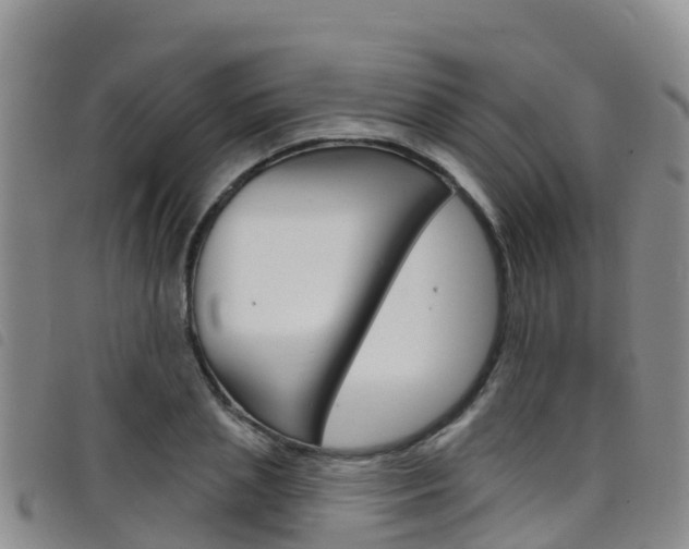 X0000098210837200804241100