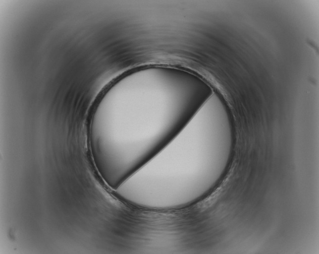 X0000098210838200804241100