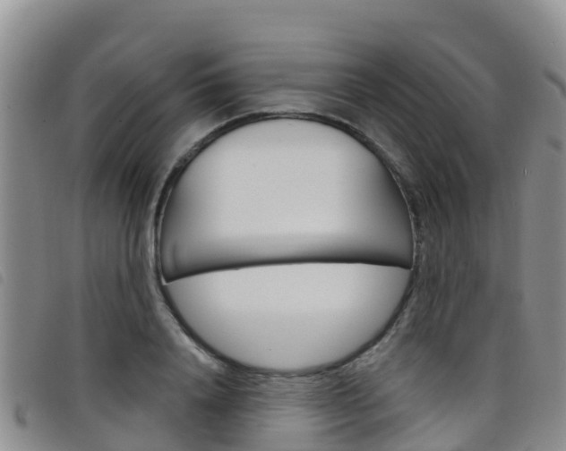 X0000098210840200804241100