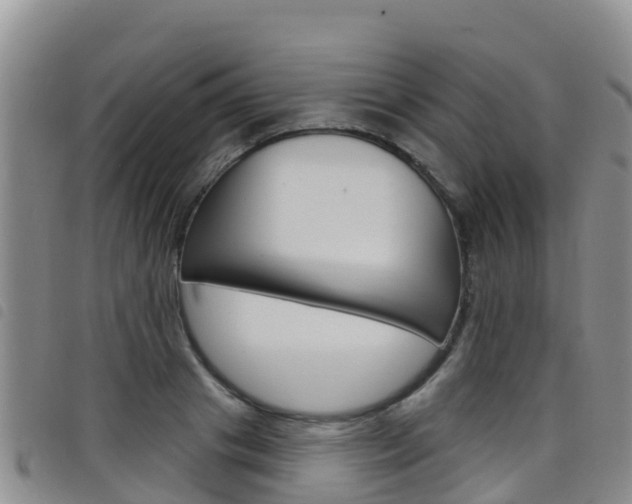 X0000098210841200804241100