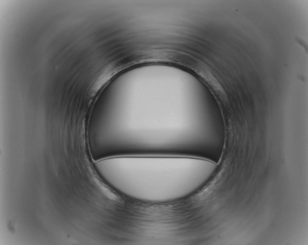 X0000098210842200804241100