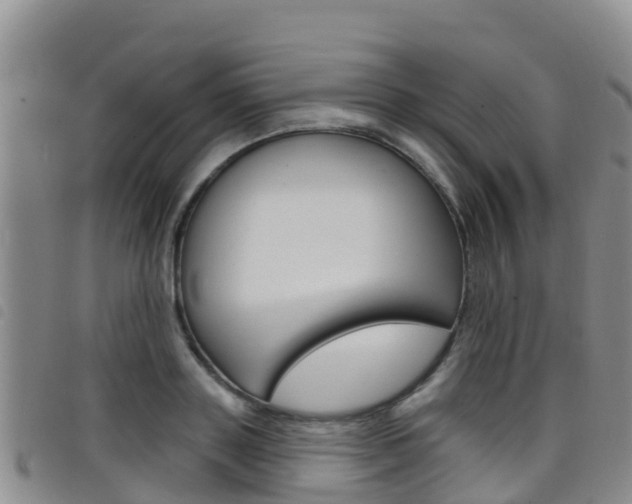 X0000098210843200804241100