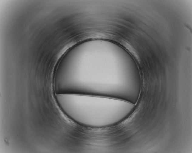 X0000098210845200804241100