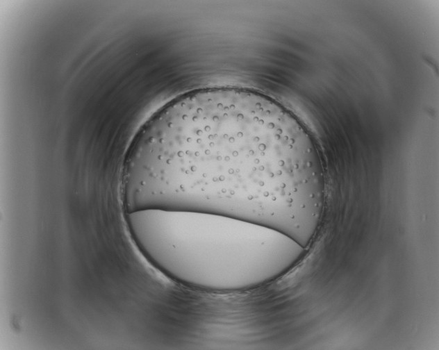 X0000098210847200804241100
