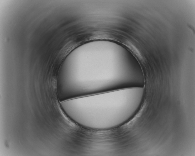 X0000098210849200804241100