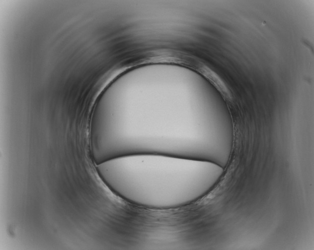 X0000098210852200804241100