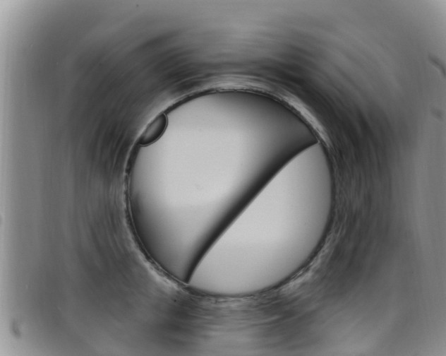 X0000098210853200804241100