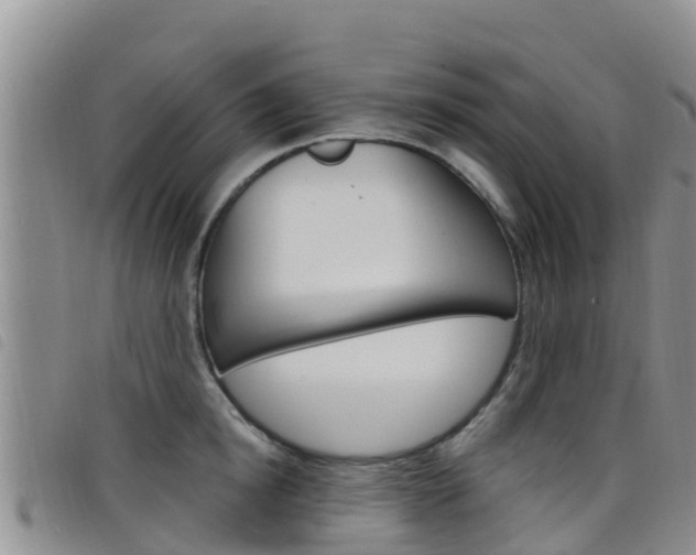 X0000098210854200804241100