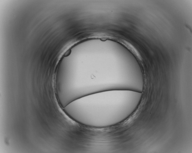X0000098210855200804241100