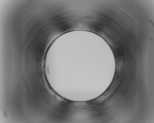 X0000098210856200804241100