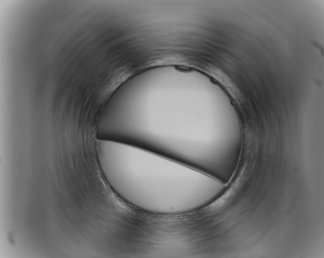 X0000098210857200804241100