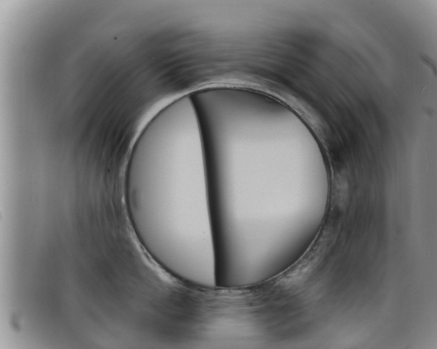 X0000098210862200804241100