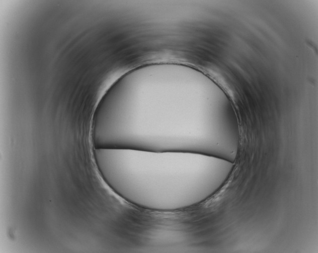X0000098210863200804241100