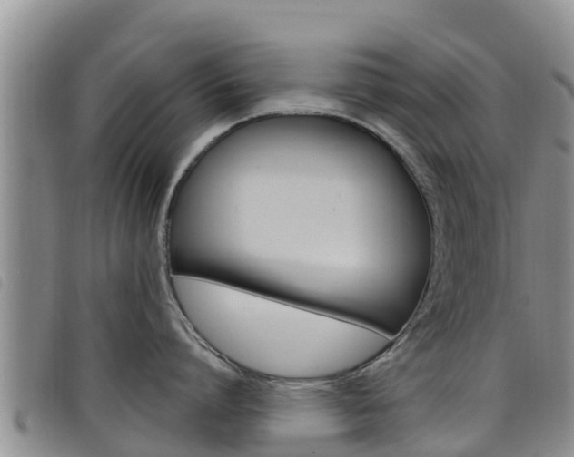 X0000098210864200804241100