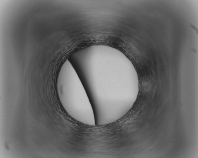 X0000098210865200804241059
