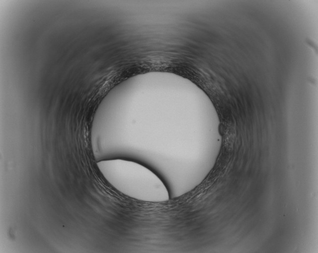 X0000098210866200804241059