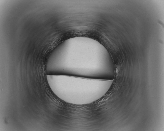 X0000098210867200804241059