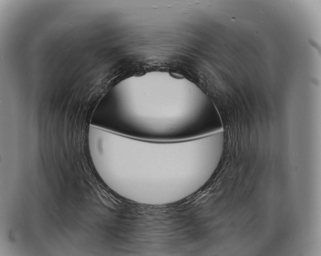 X0000098210868200804241059