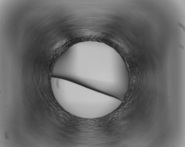 X0000098210869200804241059