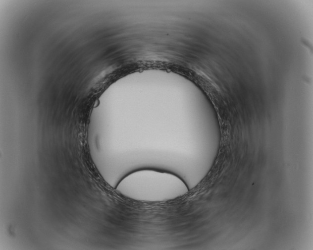 X0000098210870200804241059