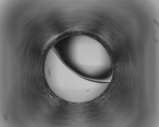X0000098210872200804241059