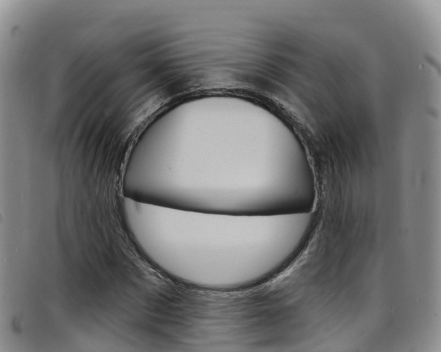 X0000098210873200804241059