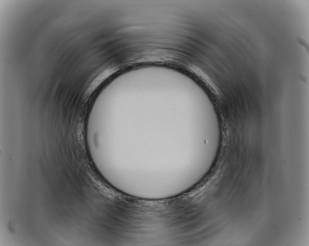 X0000098210874200804241059