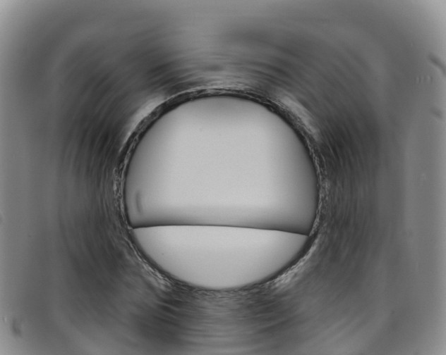 X0000098210875200804241059