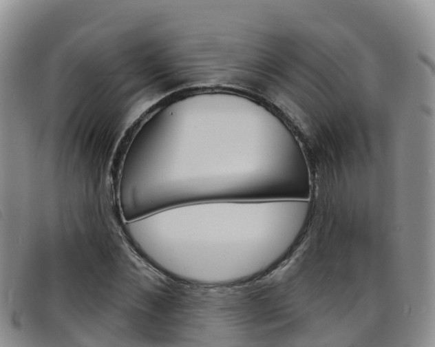 X0000098210876200804241059