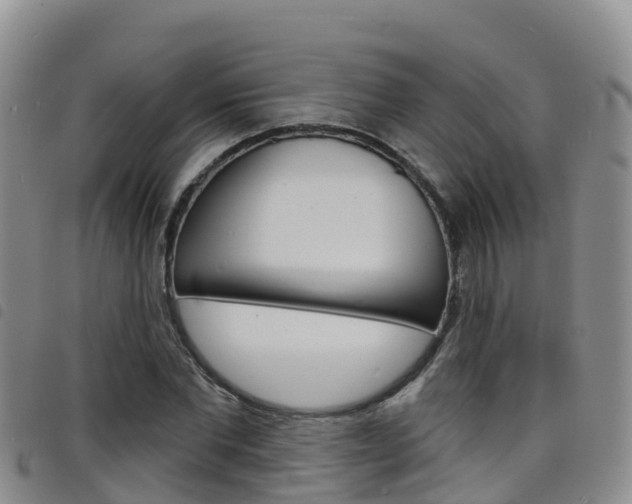 X0000098210877200804241059