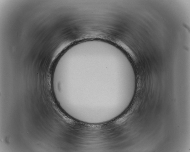 X0000098210878200804241059