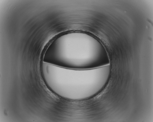 X0000098210880200804241059