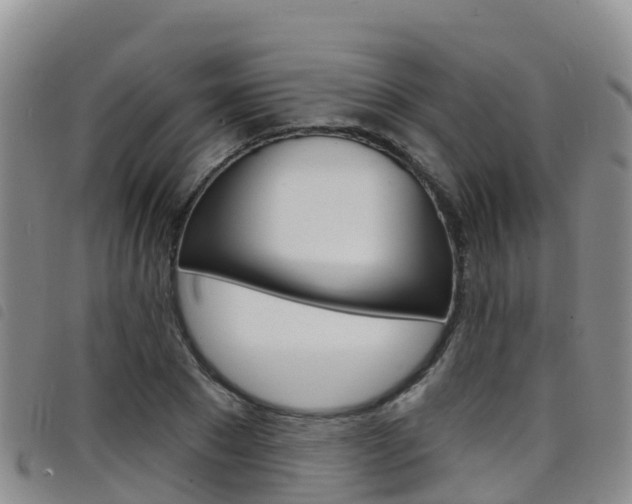 X0000098210881200804241059